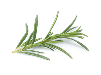 Fototapeta premium rosemary isolated on white background