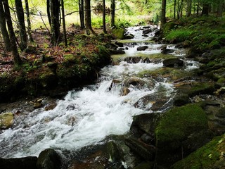 Wildbach in den Alpen - Übelbach