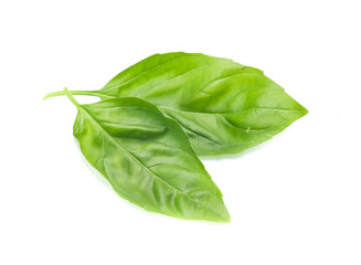 Close up green basil herb leaves isolated on white background.