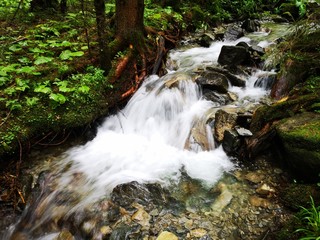 frisches Trinkwasser - Quellwasser aus den Bergen