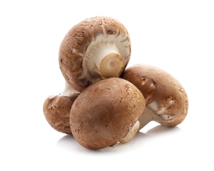 champignon mushrooms on white background