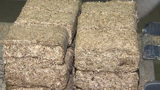 Short flax fiber. Fuel briquettes from flax.