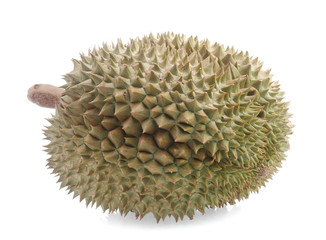 yellow durian in side Mon Thong durian fruit on white background
