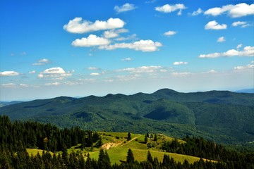 Obraz premium summer landscape of the Carpathian mountains