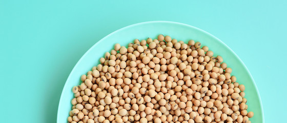 close up of soybeans on the green plate
