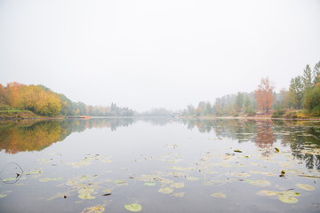 Foggy morning on the lake in the park. On the opposite shore you can see the boat station and the pier for pleasure boats.