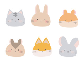 Fototapeta premium かわいい小動物
