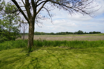 A beautiful nature walk in a Forest in the Summer