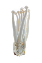 Enoki mushroom, White on background