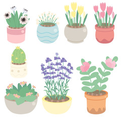 Obraz premium cute tiny flower in pot collection