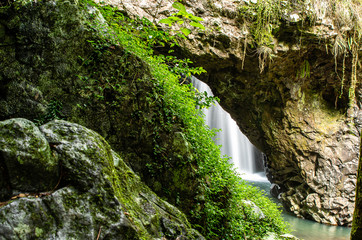 Plakat waterfall in forest