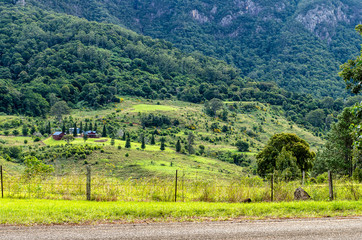 rural landscape with green fields and trees