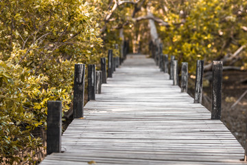 Fototapeta na wymiar Blurred background of wooden bridges that allow tourists to walk through scenic views (mangroves, small forests) to study nature or relax on the way.