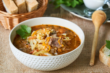 Traditional russian cabbage soup with meat in a white bowl 
