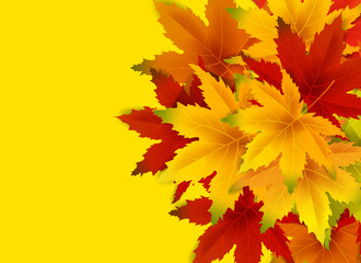 Autumn Background Template, with falling bunch of leaves, shopping sale or seasonal poster