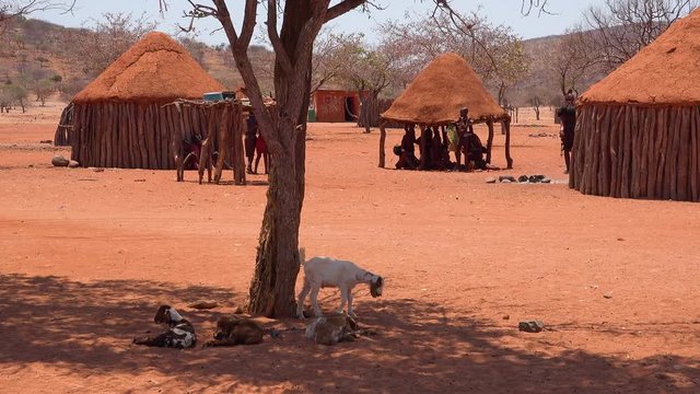 Small poor African Himba village on the Namibia Angola border with mud huts, goats and children.