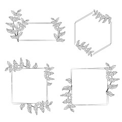 coffee tree branch wreath frame collection