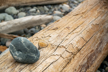 Stone on Log