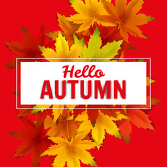 Naklejka na ściany i meble Hello Autumn Background Template, with falling bunch of leaves, shopping sale or seasonal poster