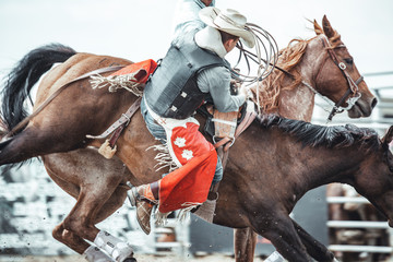 Cowboy falling off a wild horse during a bareback bronco ride in a western rodeo - obrazy, fototapety, plakaty