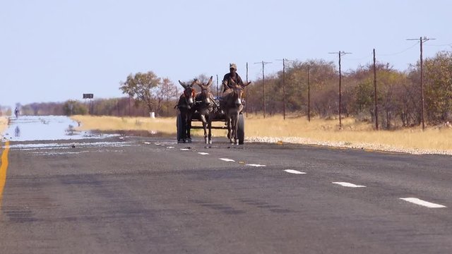 A donkey cart moves along a paved road in the Namibia desert with heat rising.