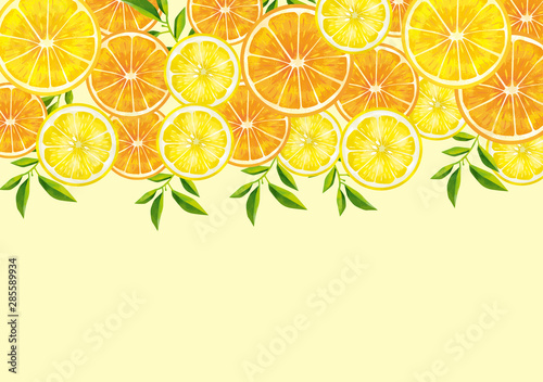 果物 レモン オレンジ 断面図 輪切り カットフルーツ 水彩 絵の具 手書き Wall Mural Okaka08