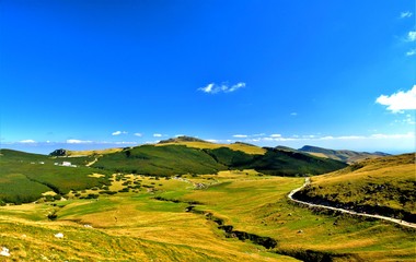 on the plateau of the Bucegi mountains in summer