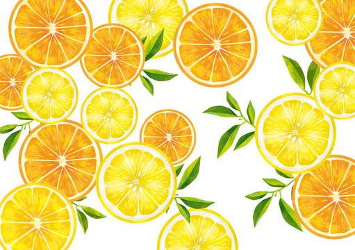 果物 レモン オレンジ 断面図 輪切り カットフルーツ 水彩 絵の具 手書き Stock Vector Adobe Stock