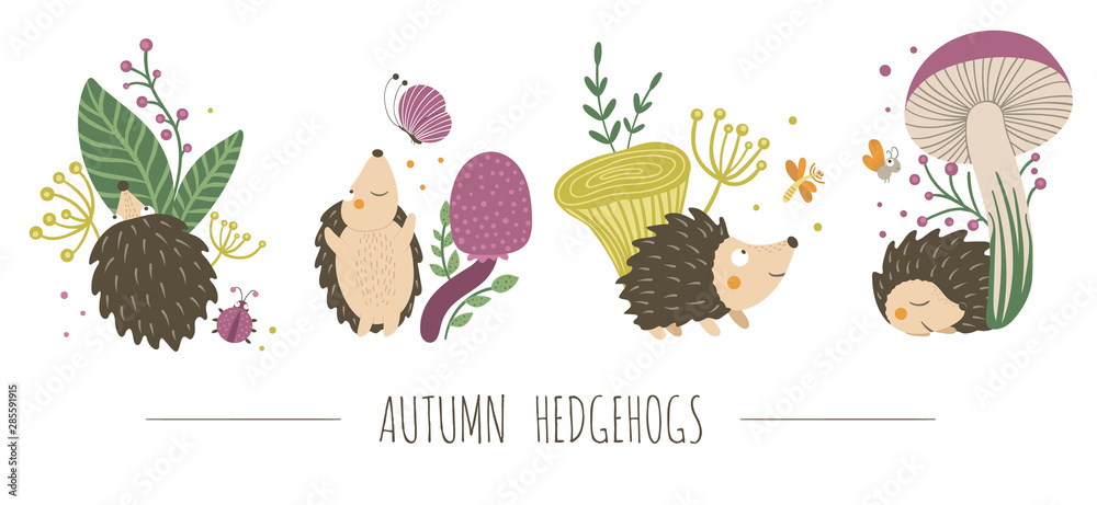 Wall mural vector set of scenes with hand drawn flat hedgehogs. funny autumn pictures with prickly animal. cute