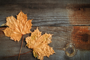 Naklejka na ściany i meble top view maple leaves on wooden boards autumn background