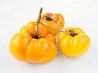 Obraz premium Cluster of large yellow tomatoes weighing 1,500 gr on a white background