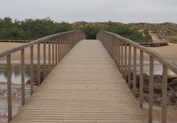 puente 2