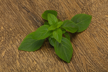 Fresh green Basil leaves - for cooking
