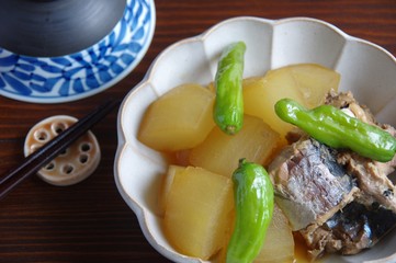 冬瓜とサバ缶の煮物　トウガンとサバ缶　家庭料理