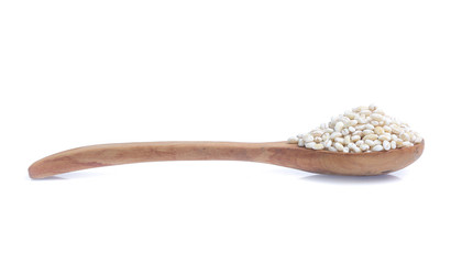 Barley grain isolated on white background