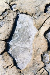 Sea salt formed in the sun in a depression between stones, island of Malta.