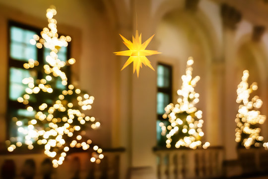unscharfe christbäume mit lichtern und weihnachtsstern, stimmungsvolle weihnachtsdekoration