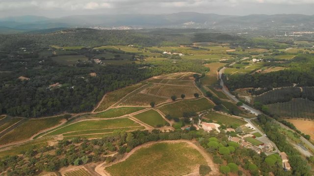 Aerial view of a beautiful vineyard at the town of Gassin, Provence, south of France.