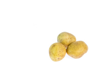 copy space potato isolated on white
