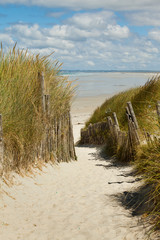 a sandy path leads trough dune grass to a sand dune beach