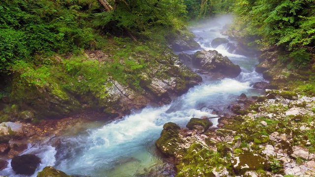Radovna River flowing fast at Vintagr gorge, Slovenia, with lush green surrounding nature.