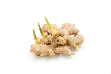 Fresh sprouted ginger isolated on white background