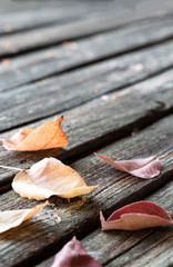 Autumn background. Autumn leaves on old dark wooden background, copy space.