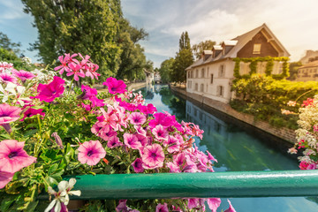 Fototapeta na wymiar Colorful and fabulous landscape with decorative flowers and the river Ill and half-timbered houses in Strasbourg, France