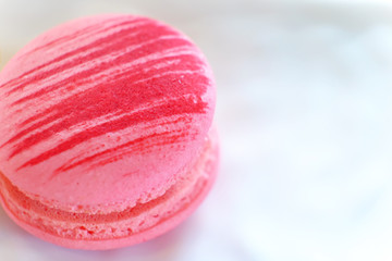 Pink macaron on white background with copy space