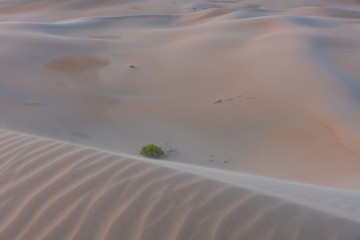 Arabische Sandwüste bei Sonnenaufgang