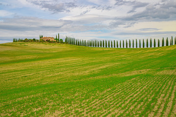 Fototapeta premium トスカーナの風景
