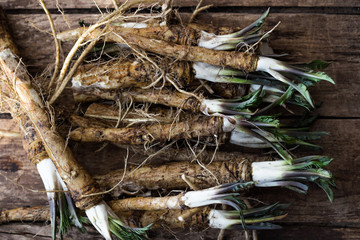 Raw horseradish roots and grated horseradish with leaf on grunge background from above. Healthy vegetable.