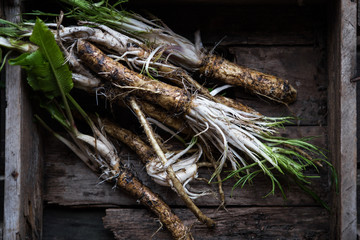 Raw horseradish roots and grated horseradish with leaf on grunge background from above. Healthy vegetable.