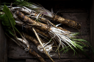 Raw horseradish roots and grated horseradish with leaf on grunge background from above. Healthy vegetable.